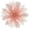 Cvjećarnica Jolie flowerdesign
